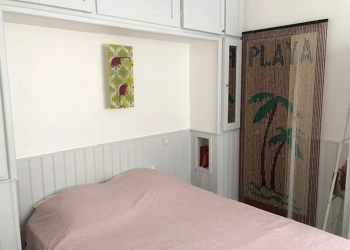 Timounyan T2 Centre Au Calme Animaux Acceptes Apartment