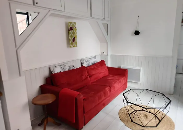 Timounyan T2 Centre Au Calme Animaux Acceptes Apartment